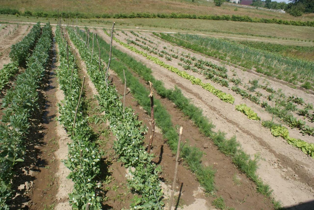 Agrodomki Okej -Dom Kasjan Gardna Wielka Exteriör bild